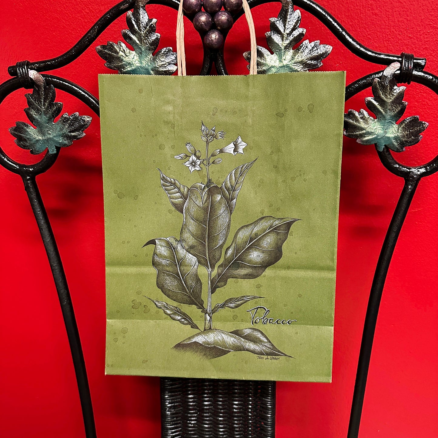 Puro's Cigar Tobacco Plant