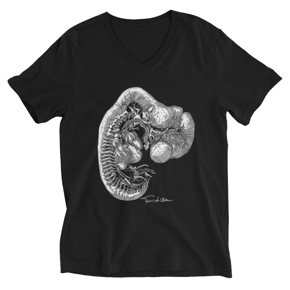 Embryo Diagram V-Neck T-Shirt