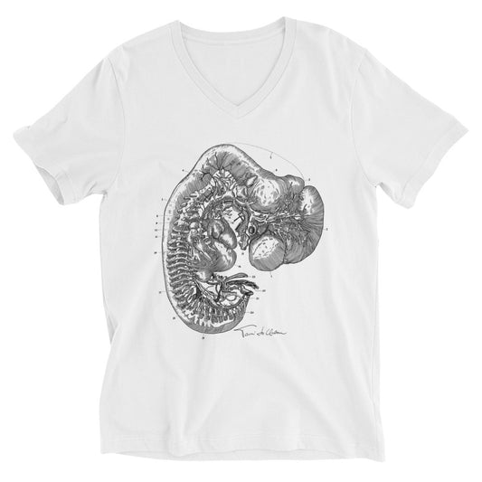 Embryo Diagram V-Neck T-Shirt